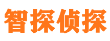 思明市调查公司